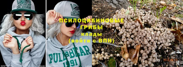 дживик Алексеевка